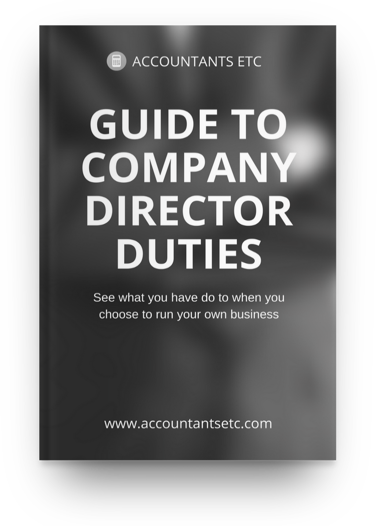 guide directors duties